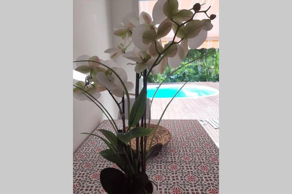 Les Orchidees Apartment เปอตีต์-บูร์ก ภายนอก รูปภาพ